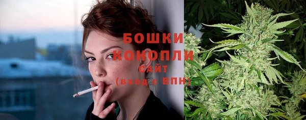 mdma Новозыбков