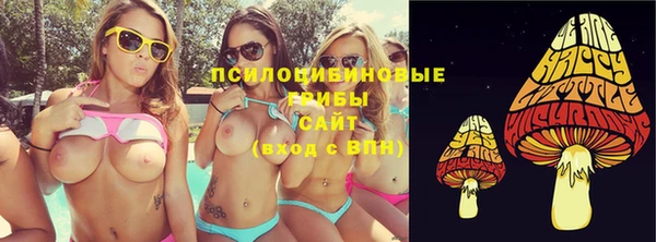 ешки Новокубанск