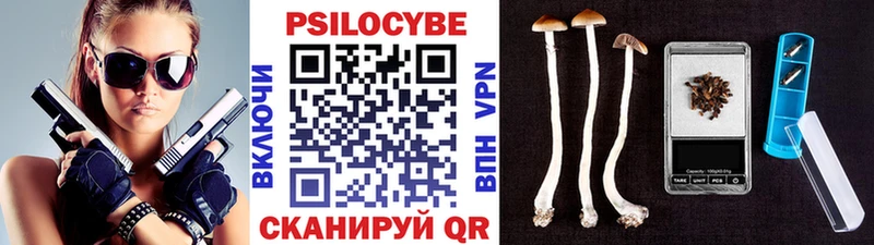 Галлюциногенные грибы мицелий  Купить где  Мещовск 
